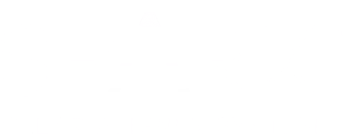 Spark Logo in White